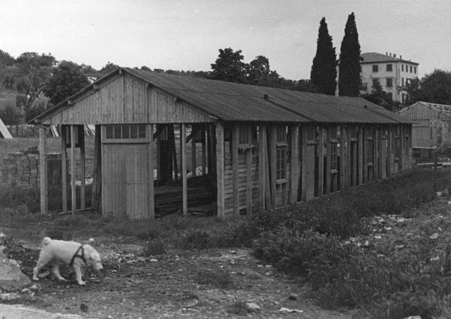 Vue des baraques à l'abandon après la guerre